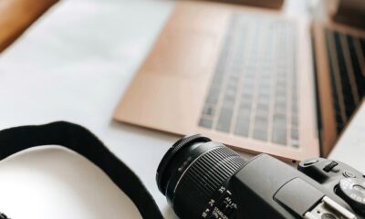 Master Managing Multiple Client Sites with WordPress Studio