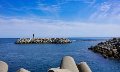 Russia Hackers Target Microsoft 365 Device Code Phishing for Takeovers