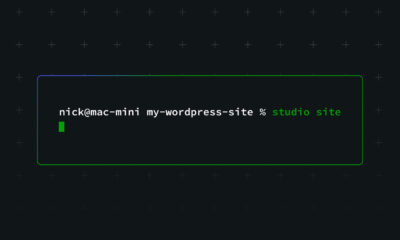 WordPress Studio CLI