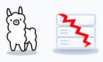 exposed Ollama servers