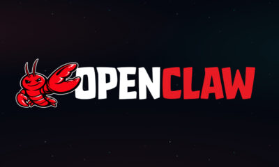 OpenClaw security vulnerability