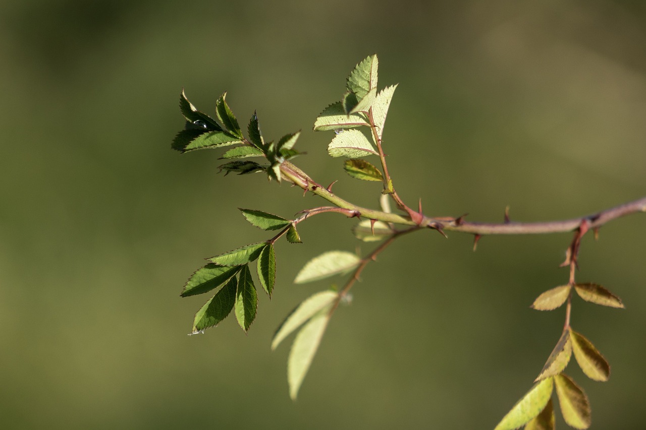Airbnb AI integration