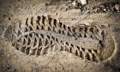 Meta Prada smart glasses