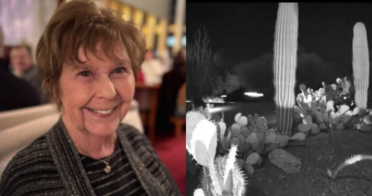 Nancy Guthrie kidnapping