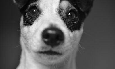 Block workforce reduction