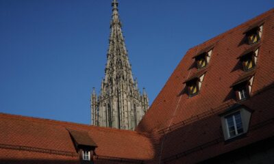 AI government regulation