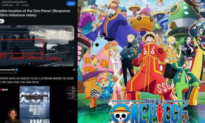 One Piece secret message