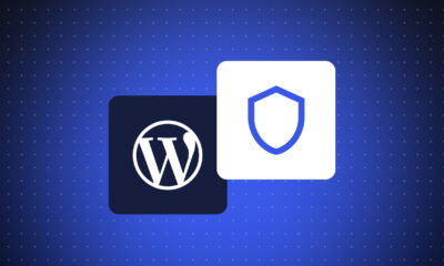 WordPress security
