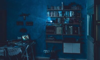 ByteDance Seedance 2.0 launch delay