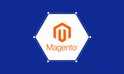 Magento PolyShell vulnerability