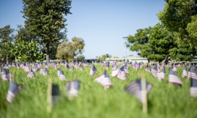 Microsoft Copilot Windows