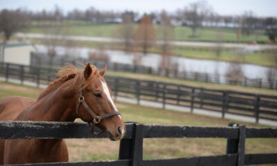 data center offer rejected