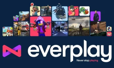Everplay 2025 profit
