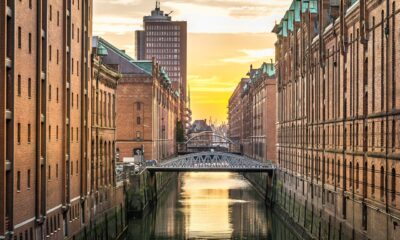 warehouse robot AI optimization