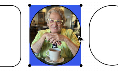 TikTok creator website