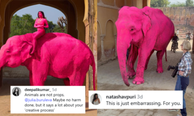 pink elephant photoshoot