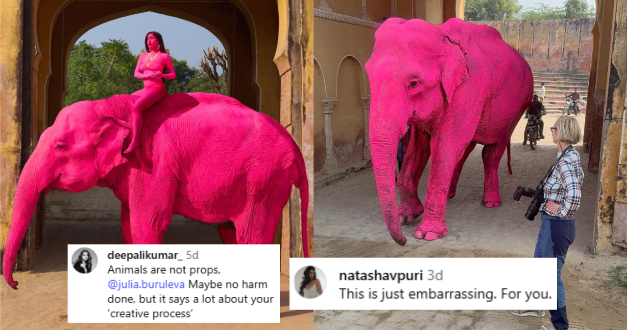 pink elephant photoshoot