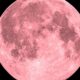April Pink Moon 2026