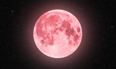 Pink Moon 2026 UAE