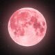 Pink Moon 2026 UAE