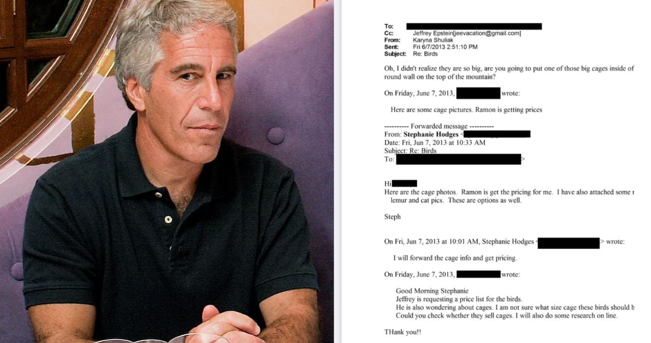 Epstein files cages