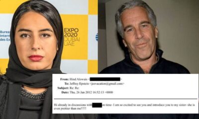 Epstein files UAE diplomat