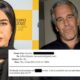 Epstein files UAE diplomat
