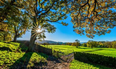 Anthropic AI compute deal