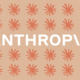 Anthropic custom AI chips