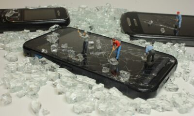 phone recycling conservation