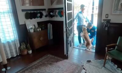 Christina Koch Artemis II