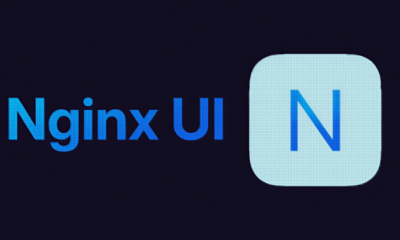 nginx-ui vulnerability