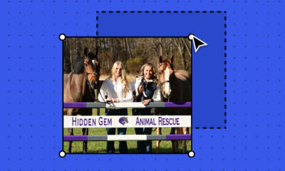 animal rescue website