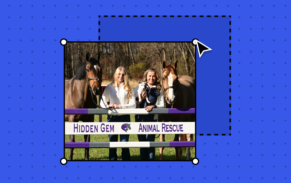 animal rescue website