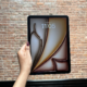 iPad Air OLED display