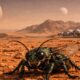 insect on Mars