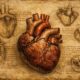 Da Vinci heart sketches cardiac risk