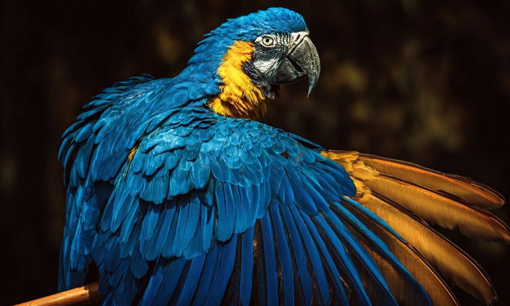 Amazon Trainium chips Meta deal