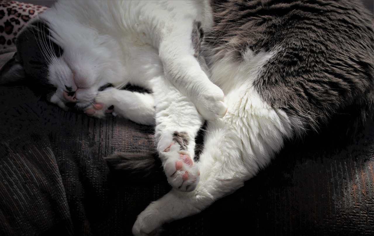 data center moratorium