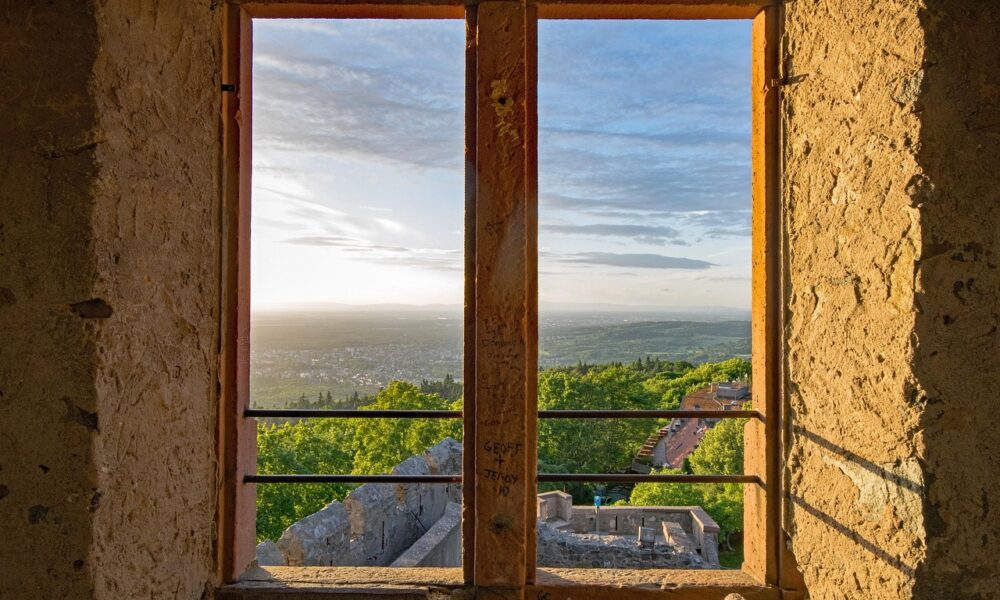 Anthropic equity payment