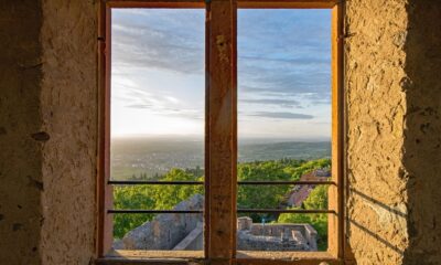 Anthropic equity payment