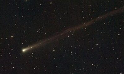Comet C/2025 K1 disintegration