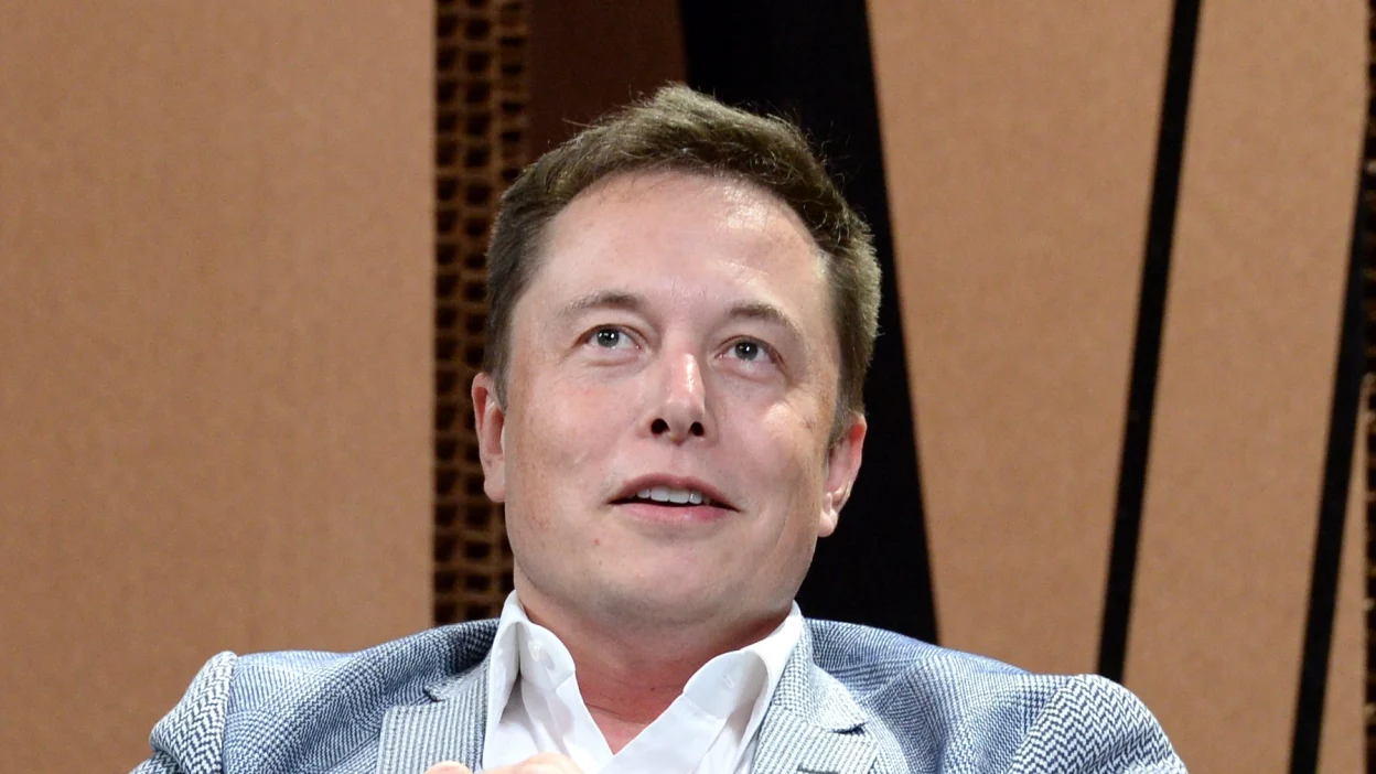 Elon Musk AI warning