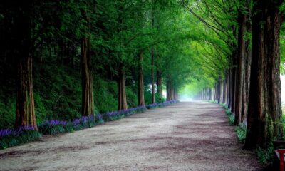 Meta Reality Labs losses