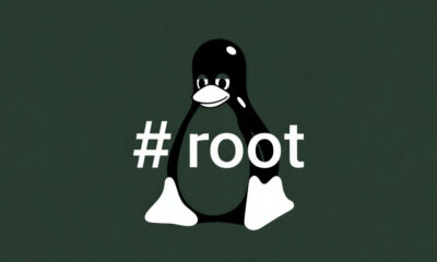 Linux privilege escalation vulnerability