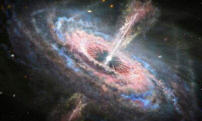 black hole heartbeat detection
