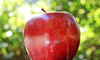Apple Siri lawsuit settlement