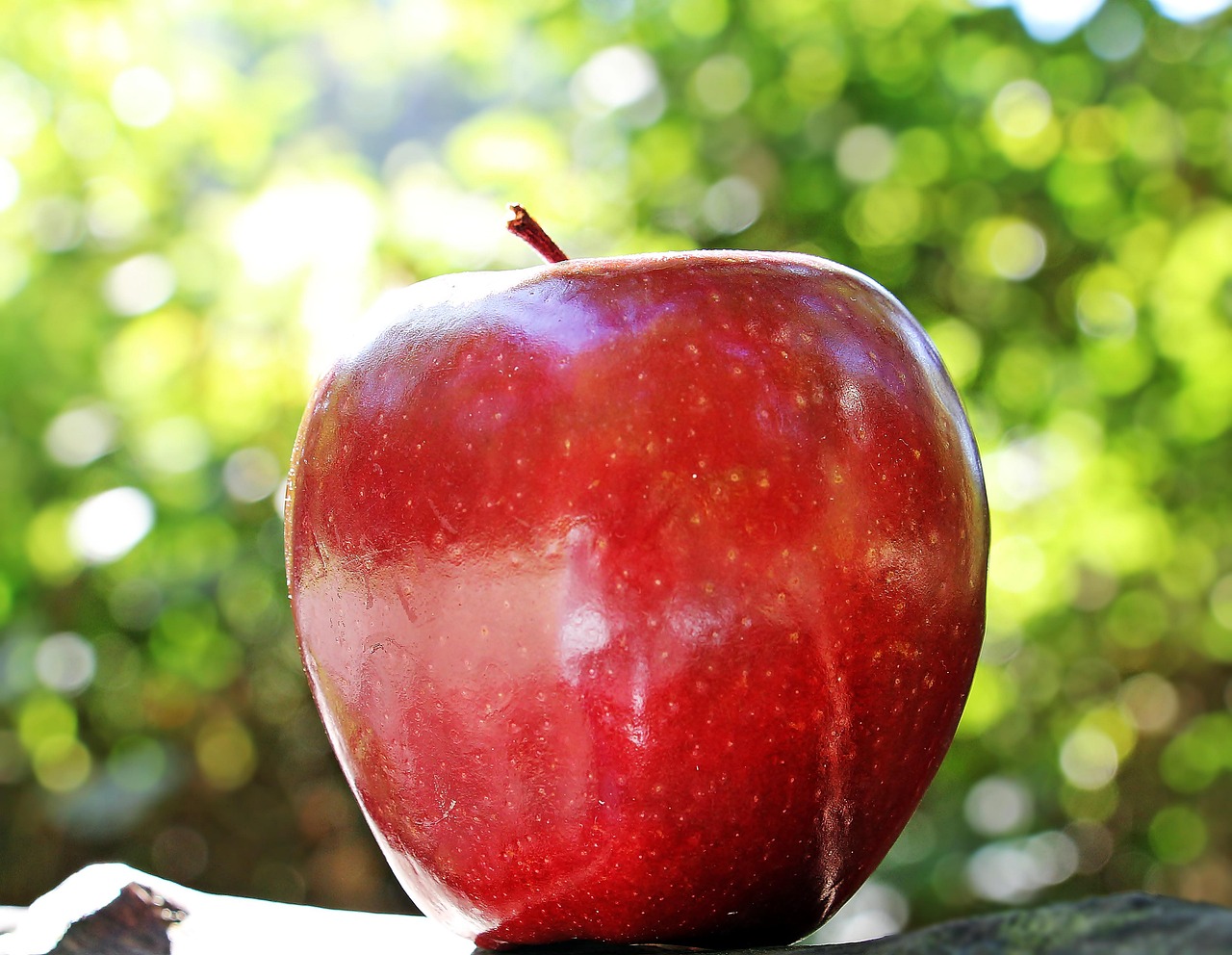 Apple Siri lawsuit settlement