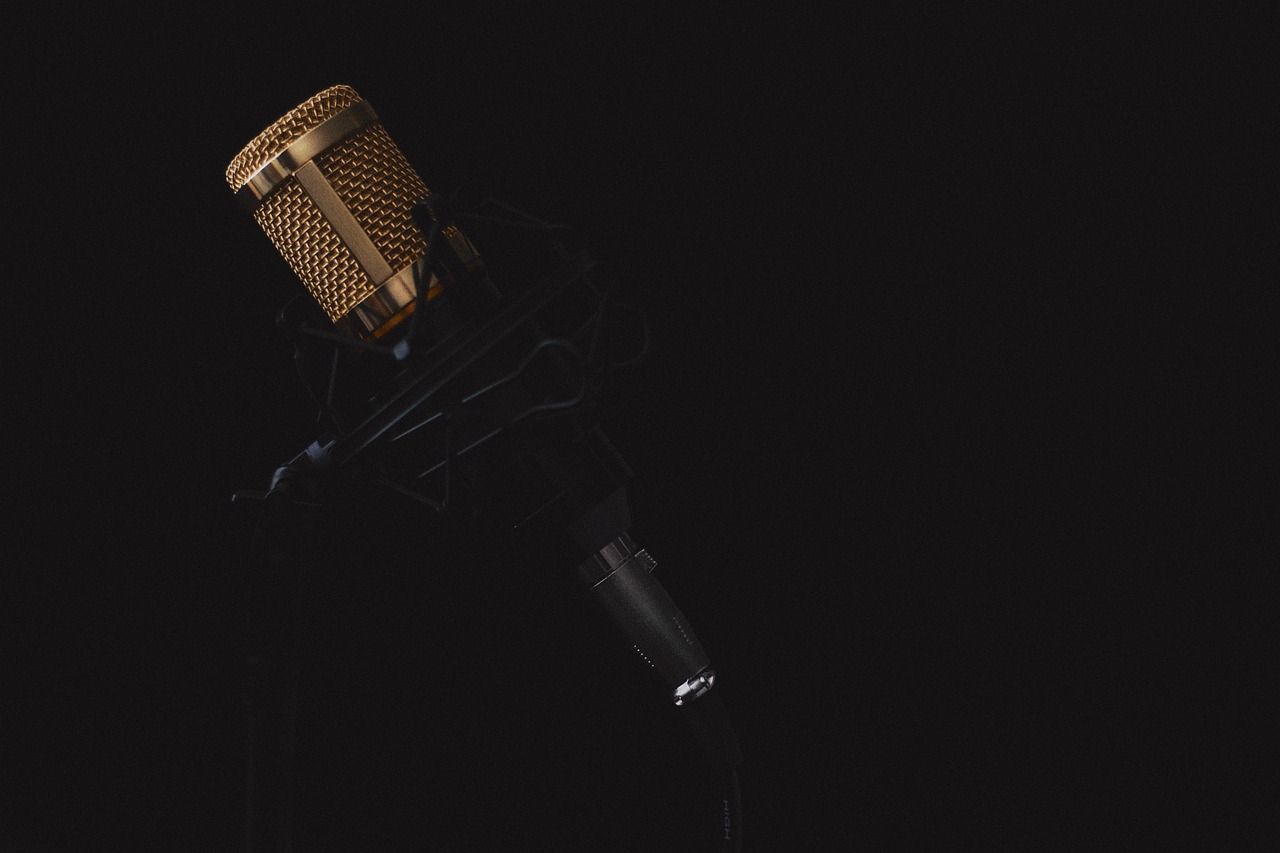 voice-based expert network funding