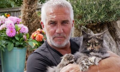 Paul Hollywood speeding conviction